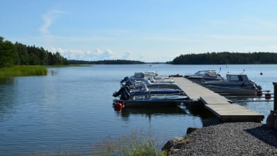 En brygga med båtar vid vattnet.