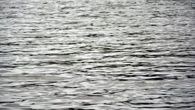 Bild på vattnet från Sibboviken.