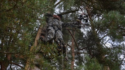 Man står på en ställning uppe vid ett träd och siktar med en pilbåge.