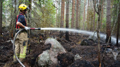 Brandman släcker eld i en skog.