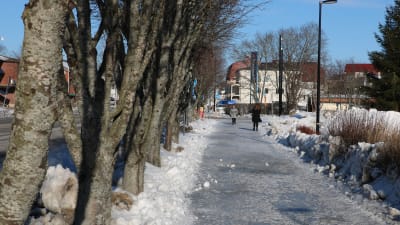 Två personer går på en isig trottoar. Till vänster i bild en rad med träd.