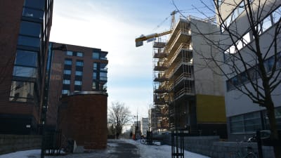 Tättbebyggda hus i Kuppis.