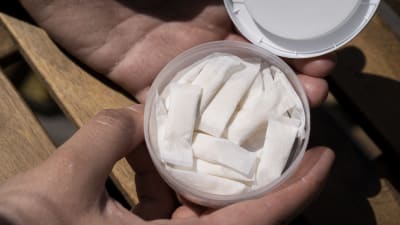 Händer som håller i en öppen förpackning med nikotinpåsar.