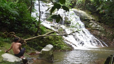 Vattenfall i regnskog på Malackahalvön i Malaysia.
