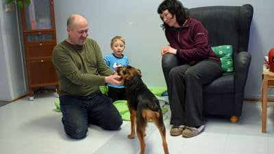 Gatuhunden Emilia från Sankt Petersburg har flyttat in hos Brent Hasty och Eeva Patrakka i Kouvola. Sonen Max är 3 år. 