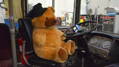 En nallebjörn som sitter vid ratten i en gammal buss.