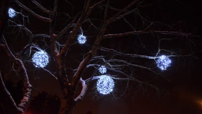 Ljusbollar i ett träd.