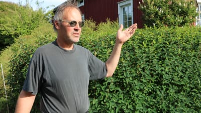 Kjell Wickman vid en grönskande häck av Blåtry