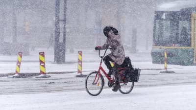 Vinterväder i Helsingfors 7.3.2021. 