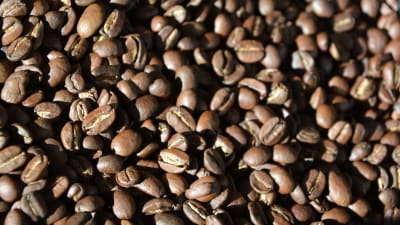 Rostade kaffebönor