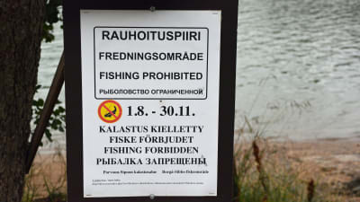 Skylt som meddelar om att fiskeförbud råder i Sibboviken.
