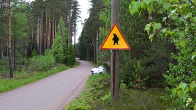 Varningsskylt för björn.