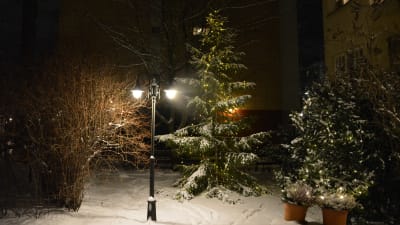En lykta med två lampor lyser upp snön och en julgran på en innergård.