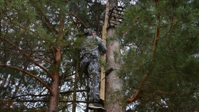 Kamouflageklädd man klättrar upp i ett träd med hjälp av en ställning.