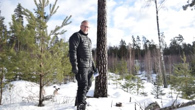 Kari Karvinen i en gles skog i Pickala.