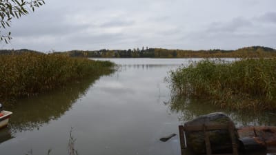 Höstig strand vid Långvattnet på Uittamosidan i Åbo.