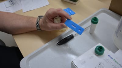 Snabbtest för blågrönalger.