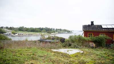 Havsutsikt
