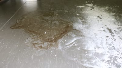 Brun fläck och vitt pulver på ett golv.