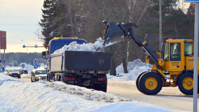 Traktor lyfter upp snö på ett lastbilsflak.