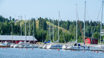 Segelbåtar förtöjda vid en hamn. 