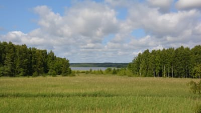 Banken mellan Ramsholmen och Gåsör