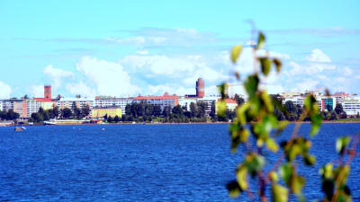 Vasa stad