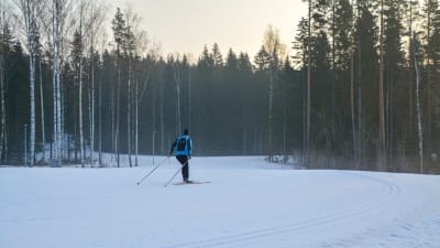 Skidåkare skidar vid skidspår mot skogsområde. 