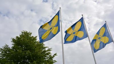 Kimitoöns kommunflagga.