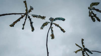 Puusta ja jätemateriaalista tehtyjä palmu-veistoksia.