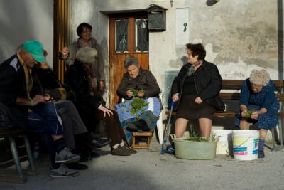 Kvinnor i byn San Michele rensar cikoria. Många tar fortfarande tillvara på och äter det vi ser som ogräs. Maten är just en annan förklaring till varför befolkningen lever länge.