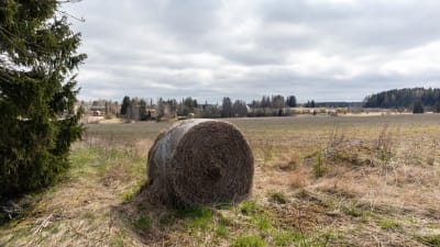 Åkerlandskapp intill Nickby.