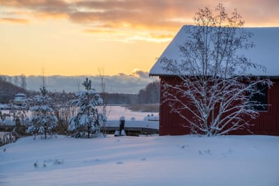 Gammal röd träbyggnad vid kanten av en å i ett vintrigt landskap. 