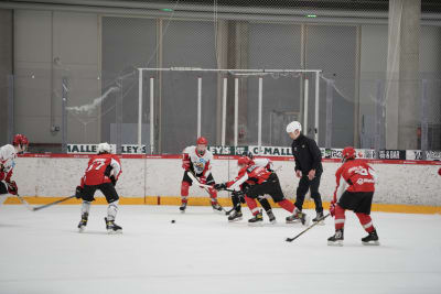 flera ishockeyspelare på isen, med röda eller vita tröjor. en domare med svarta kläder följer spelet.