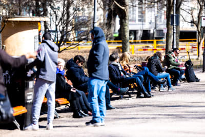 Människor sitter i Esplanadparken en solig dag.