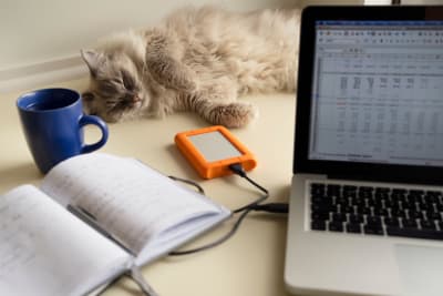 En bärbar dator på ett bord. Bredvid datorn finns en bok och en kaffekopp. Bakom datorn vilar en katt på bordet.