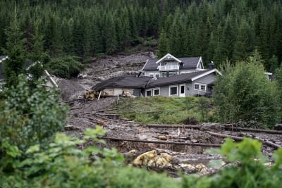 Jord och stockar har rasat ner längs med en sluttning och skadat minst ett hus allvarligt.