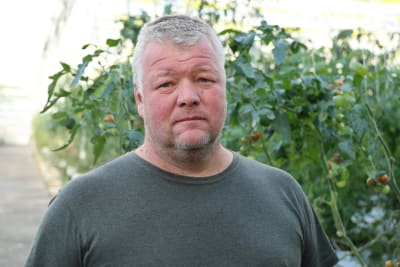 En man med kort grått hår står inne i växthus.