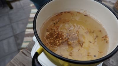 Såpnejlikans rötter kokas med vatten i en kastrull.