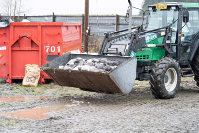 traktor med flak fullt av döda rävar