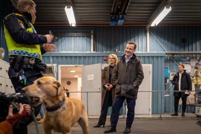 Ulf Kristersson ser på en hund som biter i en kamera.