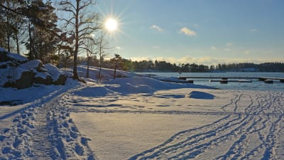 Vinterlandskap med snö och sol