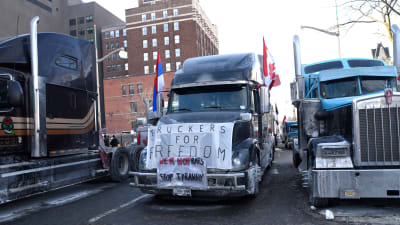 Långtradare blockerar gator i centrum av Kanadas huvudstad Ottawa.