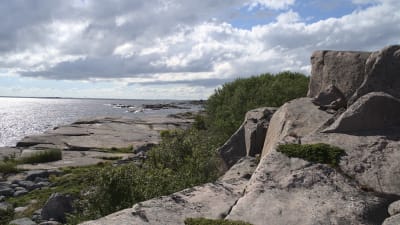 Utsikt över berg och hav.