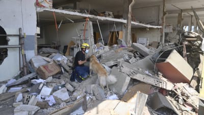 Räddningsarbetet efter explosionen i Beiruts hamn