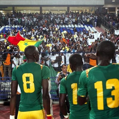 Papy Djilobodji ja Senegalin maajoukkue juhlii voittoa.