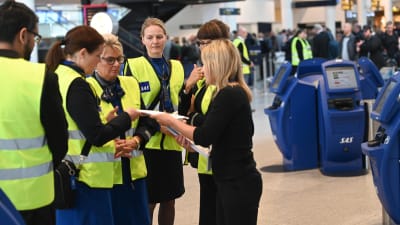SAS kabinpersonal i gula västar tar emot instruktioner på en flygplats.