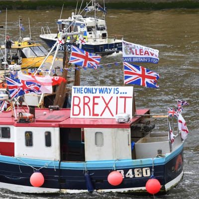 Joukko kalastusaluksia rivissä Thamesjoeall. Lähimmässä veneessä on kyltti, jossa lukee "The only way is BREXIT". Veneissä on Britannian lippuja ja plakaatteja, joissa kehotetaan äänestämään Britannian EU-eron puolesta. Vesi on viheriää.