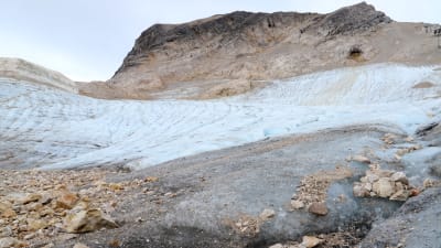 Glaciären är inte speciellt vit efter den gångna sommaren.