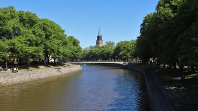 Aura ås strand på sommaren.